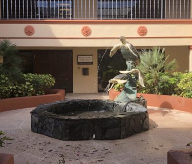 Fountain Entry to SGS